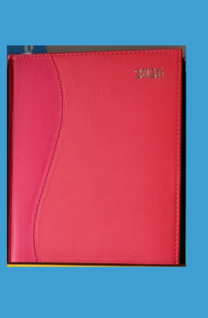 2026 Professional Daily Planner/Diary - Multiple Colors & Styles